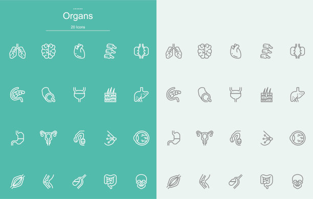 器官行图标图片下载