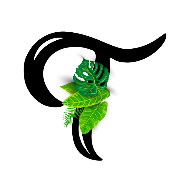 手绘字母T与热带树叶孤立在白色背景。矢量插图。图片下载