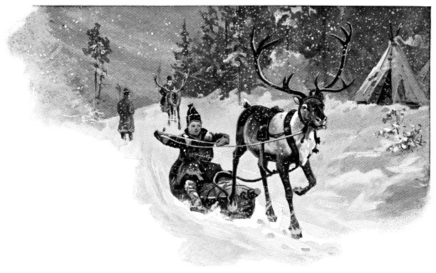 19世纪，挪威特罗姆的萨米人用驯鹿拉雪橇图片下载