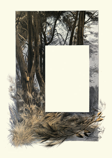 松林，边框，拷贝空间，19世纪图片下载