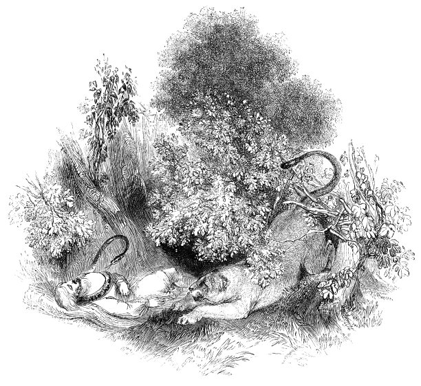 狮子攻击无意识的奥利弗在雅顿森林-威廉·莎士比亚的作品图片下载