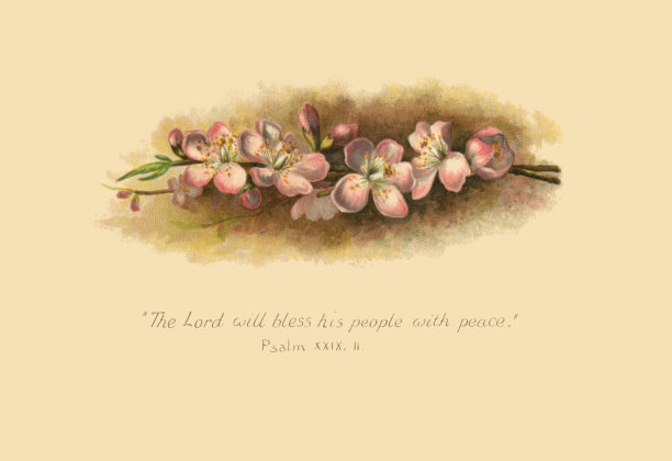 苹果花和赞美诗-维多利亚插图图片下载