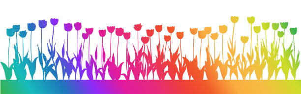 郁金香床上彩虹图片下载