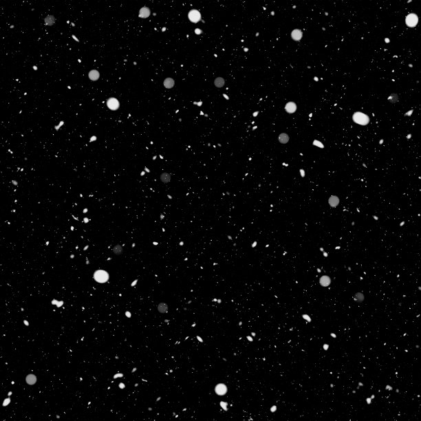黑色背景上的降雪图片下载