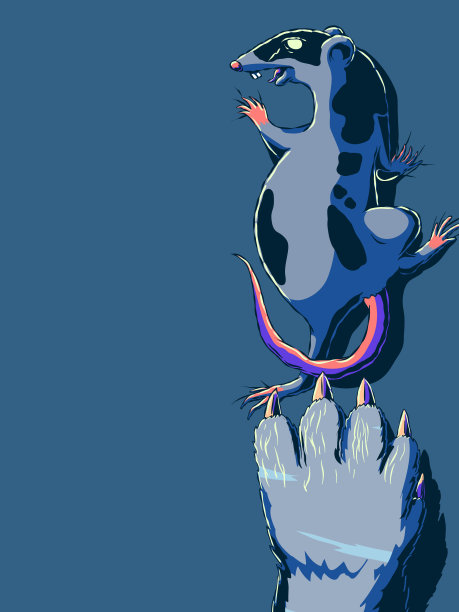 手绘矢量插图-爬行老鼠和猫爪。图片下载