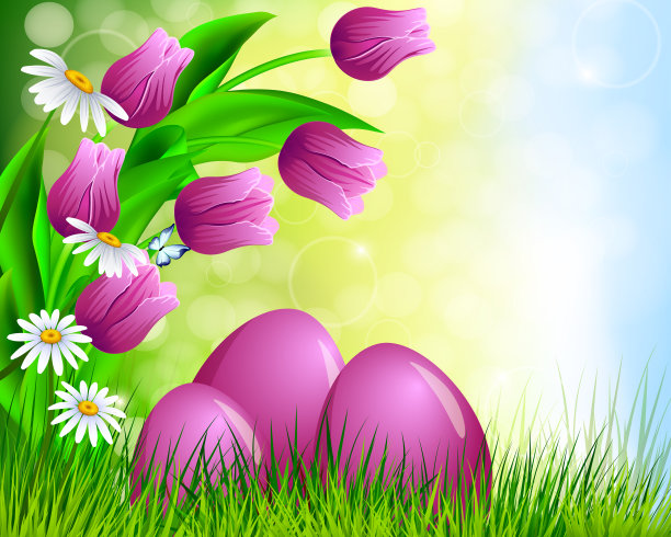 春天的郁金香图片下载