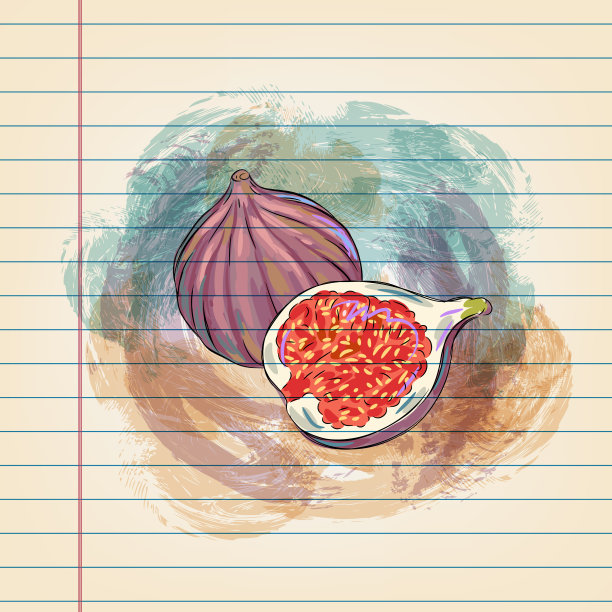 在方格纸上画无花果图片下载