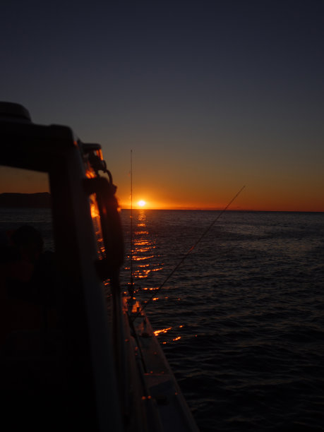 黎明的大海图片下载