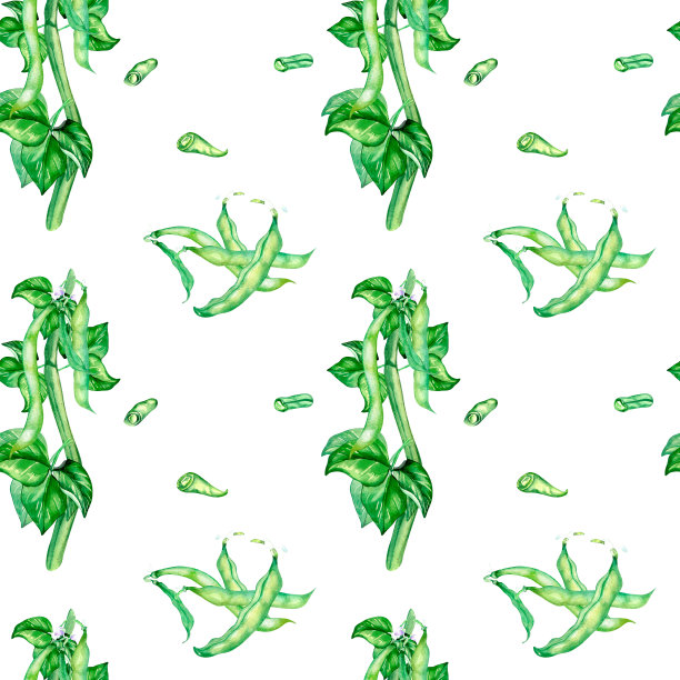 种植青豆，水彩天衣无缝图案图片下载