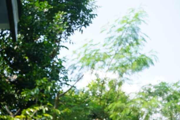 印度尼西亚村庄的库存照片图片下载