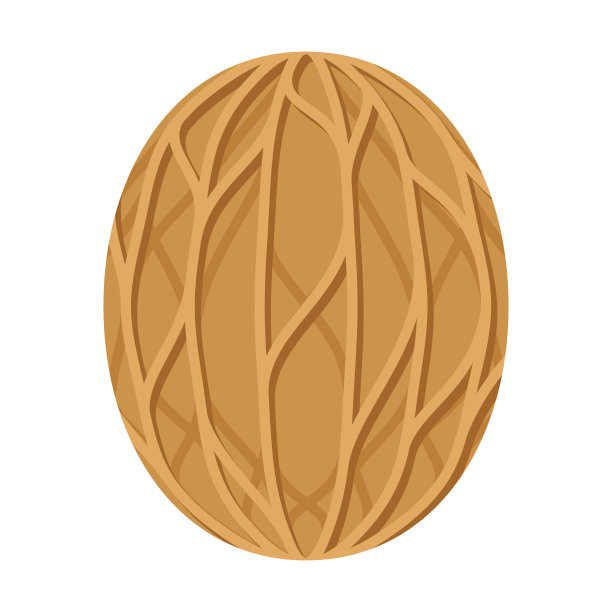 肉豆蔻图标的透明背景图片下载