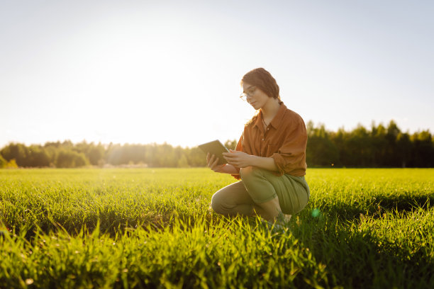 聪明的农场。一位女农民在平板电脑上使用一款专门的应用程序来检查小麦图片下载