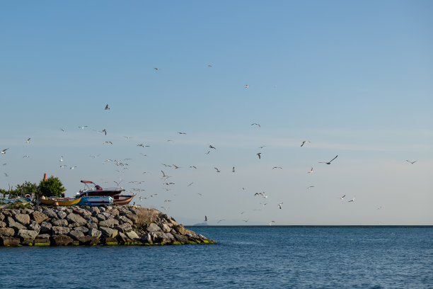 在海上的一个渔岛上，天空中有许多海鸥在水面上盘旋，捕捉着鱼饵。图片下载