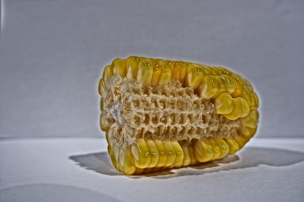 香甜软糯的黄色玉米图片下载