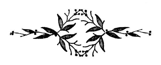 新艺术花卉图案设计- 19世纪图片下载