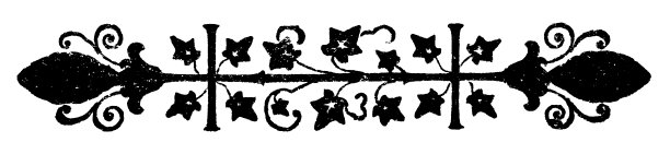 新艺术花卉图案设计- 19世纪图片下载