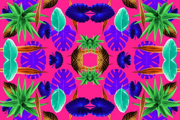 2023年异国曼荼罗图片下载