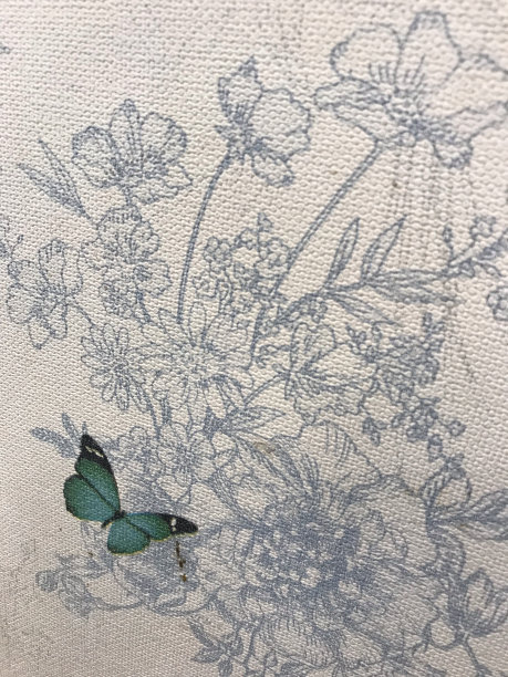 墙上画着蝴蝶和花图片下载