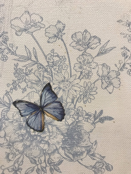 墙上画着蝴蝶和花图片下载