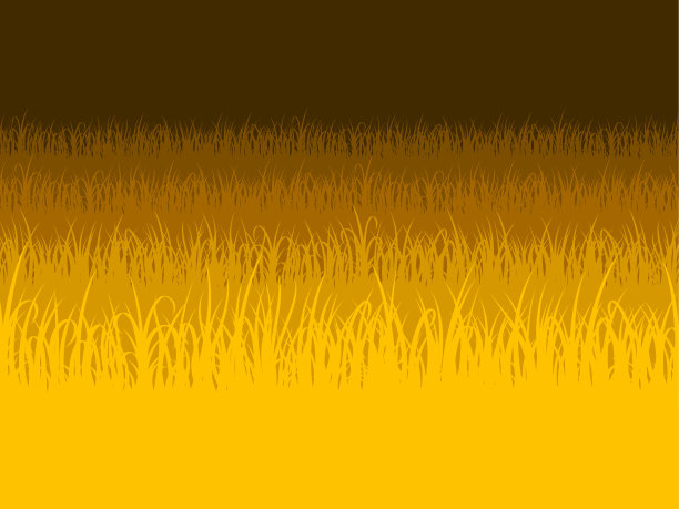 草地的背景。田里长满了草。草坪。图片下载