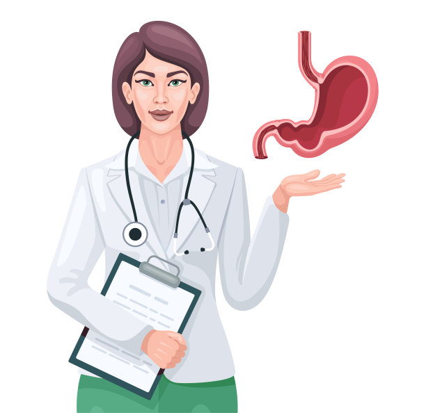 女医生展示人类的胃。图片下载