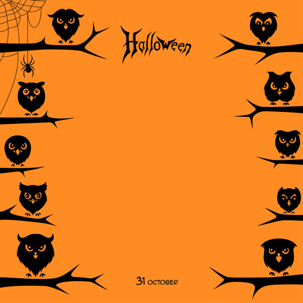 万圣节的猫头鹰图片下载