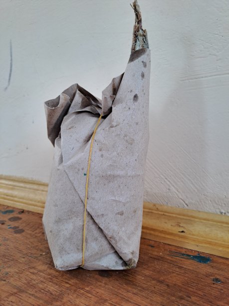 这是一种典型的印尼食物，用油纸包上米饭、炸鱼、新鲜蔬菜和配菜。图片下载