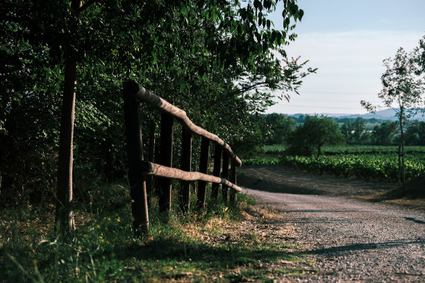 乡村散步图片下载