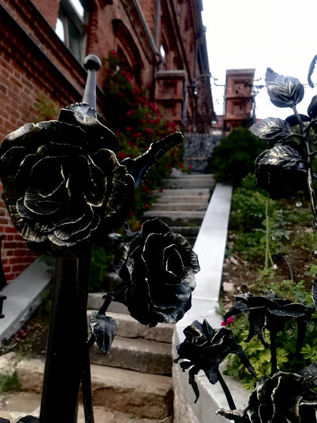 金属玫瑰图片下载