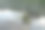 河畔绿洲:野生河岸繁茂的植物图片下载