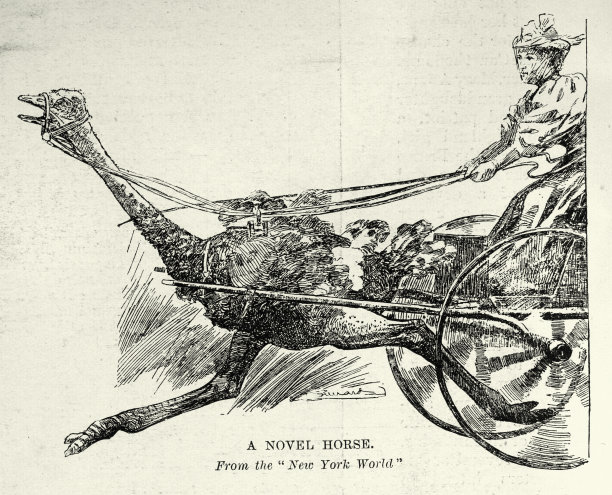 奇怪的维多利亚式交通工具，鸵鸟动力马车，19世纪90年代图片下载