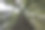 红杉国家公园和州立公园里的红杉图片下载