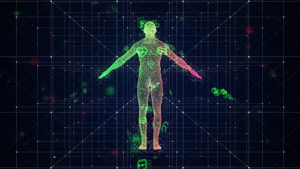 人体解剖学-医学图片下载