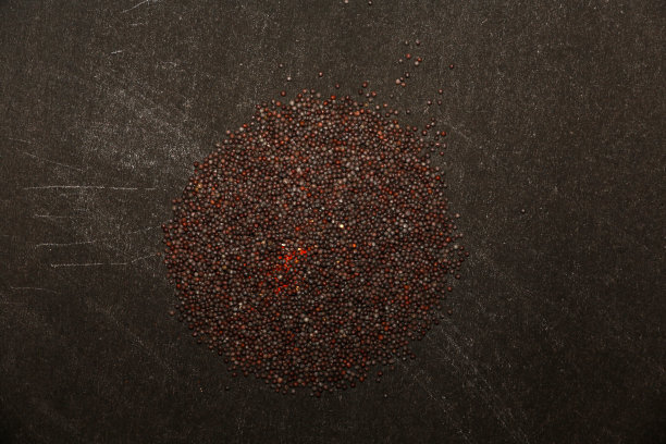 黑色芥末桌面视图孤立的黑色背景图片下载