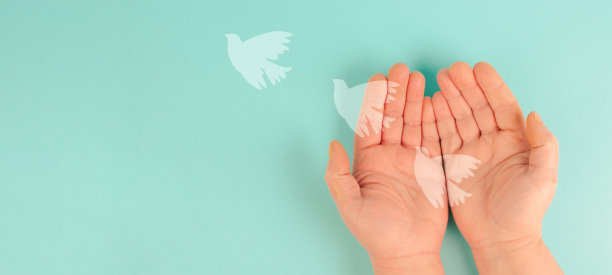 双手捧着白鸽，象征着和平与信仰、自由、慈善与帮助的理念、人道主义援助图片下载
