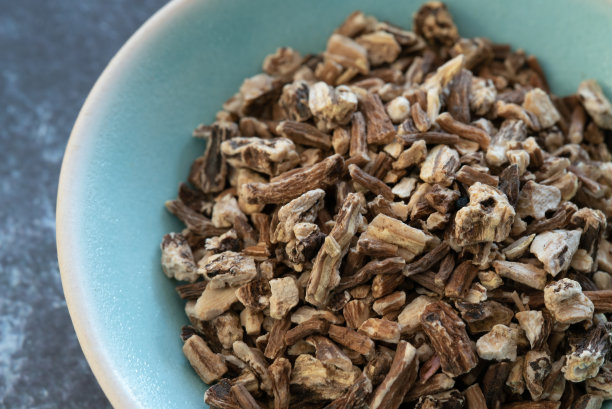 蒲公英的根图片下载