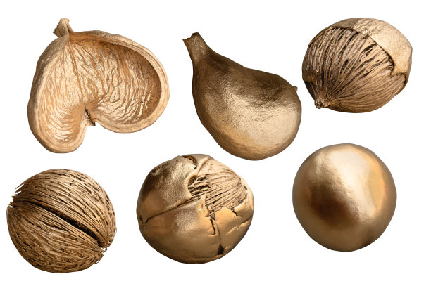 白色背景上的花边水果和金色多汁椰子可以作为背景。图片下载