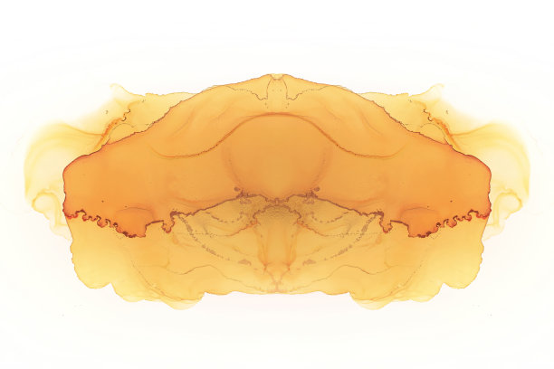 抽象拼贴与手绘酒精墨水纹理图片下载