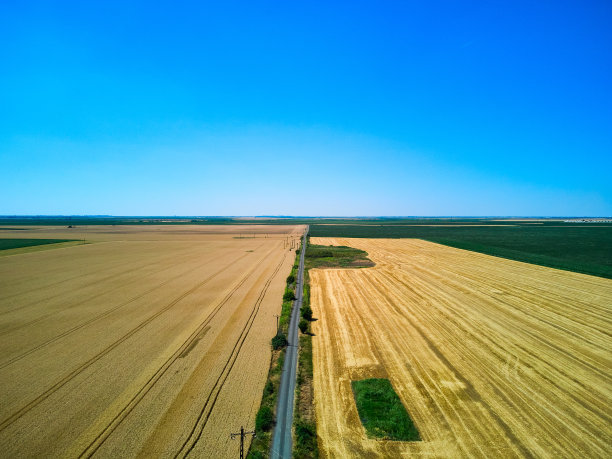在罗马尼亚的蒂米斯，无人机俯瞰道路和麦田图片下载