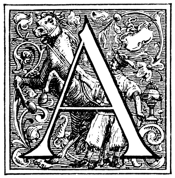 字母A，人与马图片下载