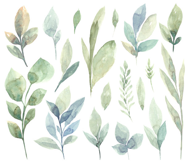 一套水彩绿色叶子剪贴画图片下载