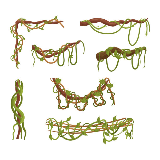 藤本植物的纠结集，大自然的空中藤本，交织和攀登通过茂密的森林卡通矢量插图图片下载