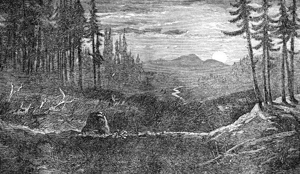 19世纪，加拿大阿尔伯塔省被废弃的海狸水坝所创造的湿地图片下载