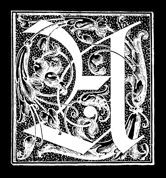 的页面装饰图片下载