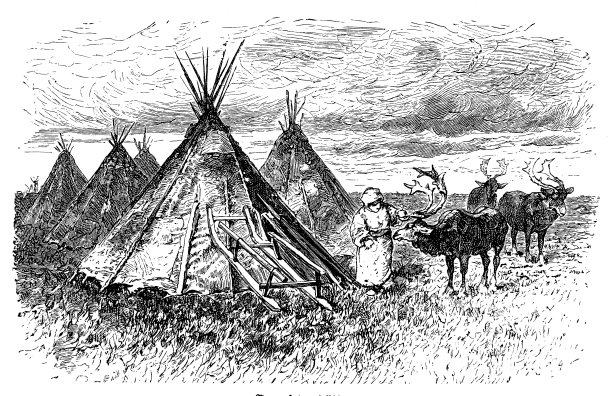 西伯利亚北部的游牧民族，传统上以放牧驯鹿为生图片下载