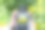 用老式取景器相机拍摄油菜田的人。图片下载