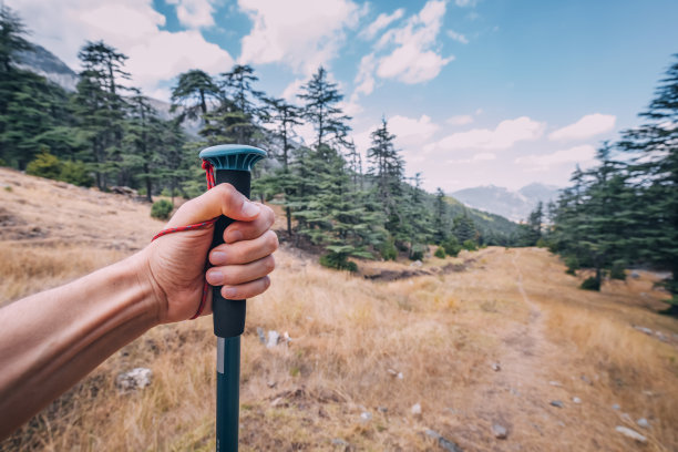 一名男性旅行者手持登山杖或杆子，背景是风景秀丽的山谷图片下载