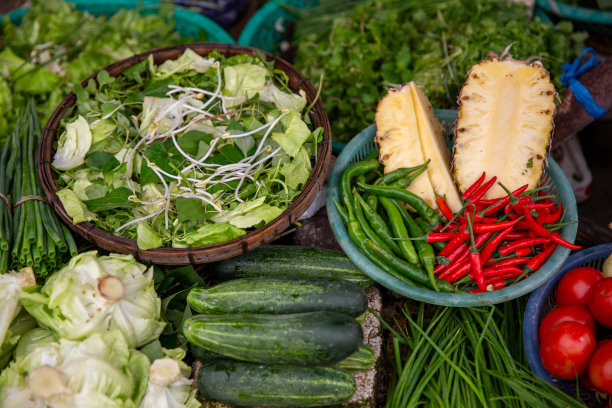 蔬菜品种图片下载