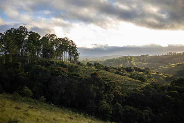山上的日出交响乐图片下载