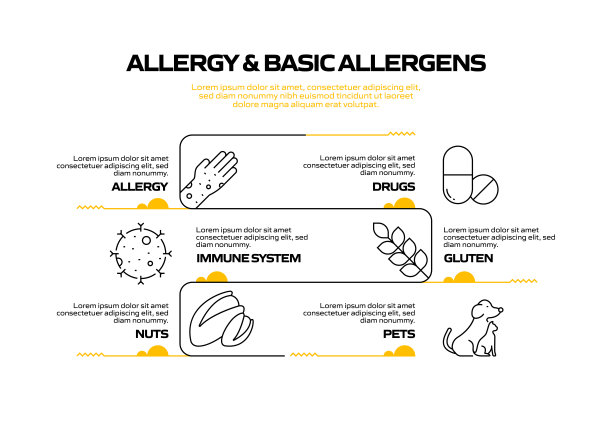 过敏和基本过敏原相关过程信息图表模板。过程时间图。带有线性图标的工作流布局图片下载